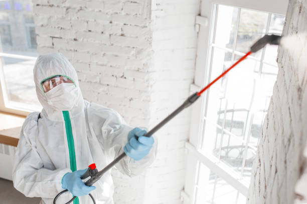 Best Air Quality Testing for Mold Spores  in Imperial Beach, CA