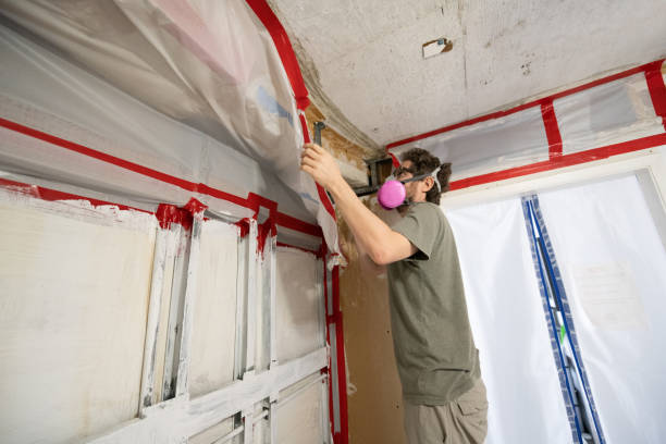 Best Emergency Mold Remediation  in Imperial Beach, CA