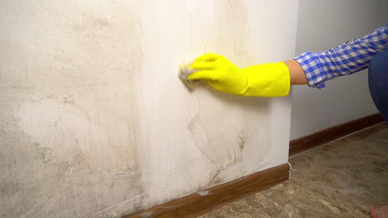 Best Post-Remediation Verification Testing  in Imperial Beach, CA
